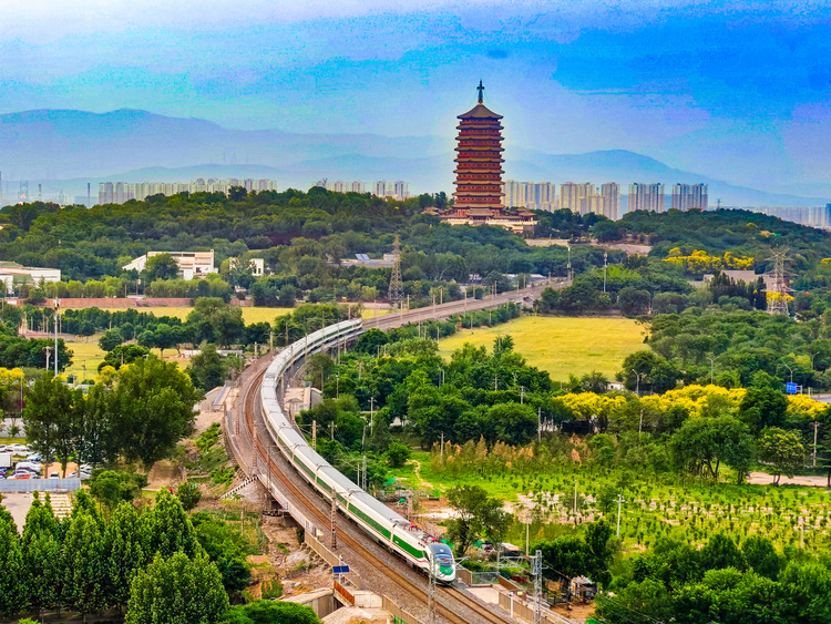 拾光而來，終遇花開